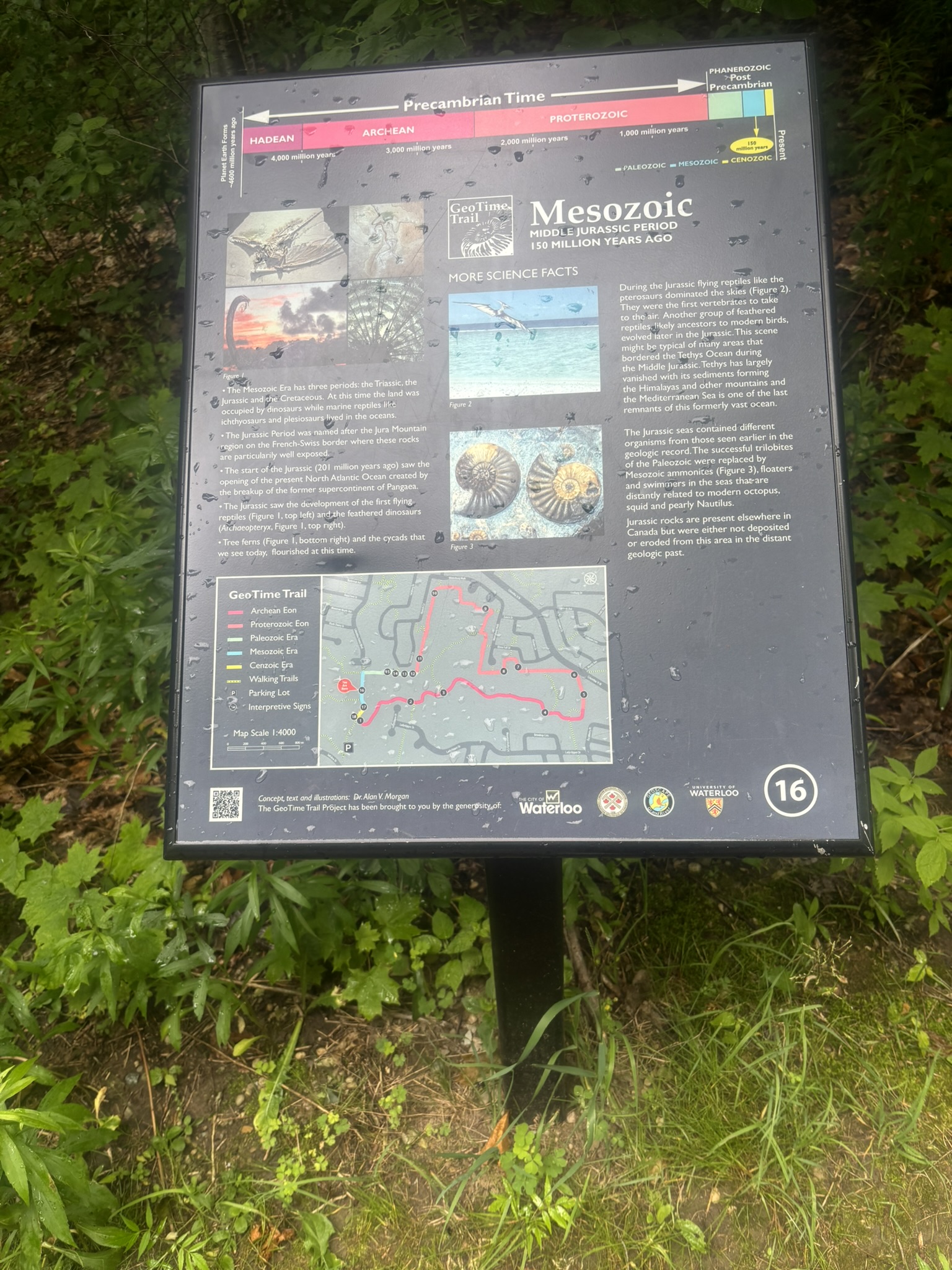 Mesozoic interpretive sign at the Waterloo GeoTime Trail
