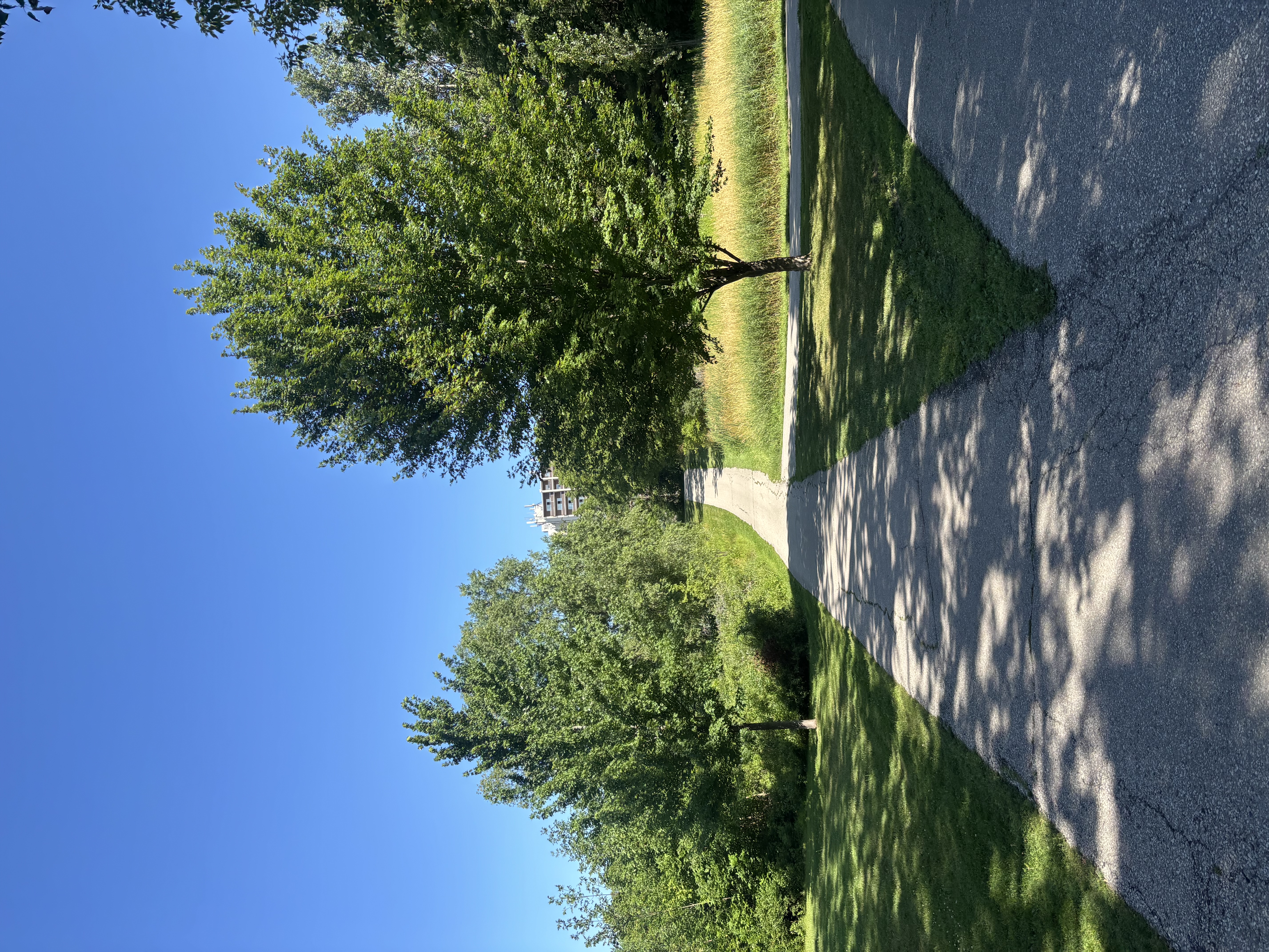 Paved walking trails, mature trees, and green space at Lakeside Park in Kitchener